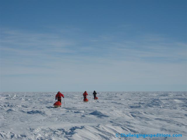 antarctica 2008